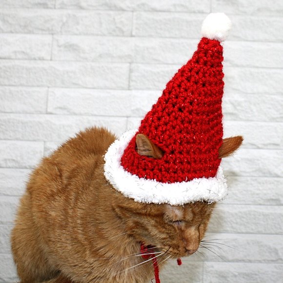 HAND CRAFTED Crochet Santa Cat Hat Costume Photo Prop Christmas Holiday - Picture 3 of 7